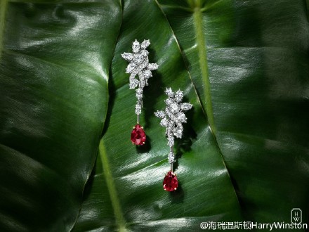 海瑞温斯顿（Harry Winston）迷人的锦簇花紋佩以浓郁的红宝石，足以在熠熠星光的晚宴中脱颖而出