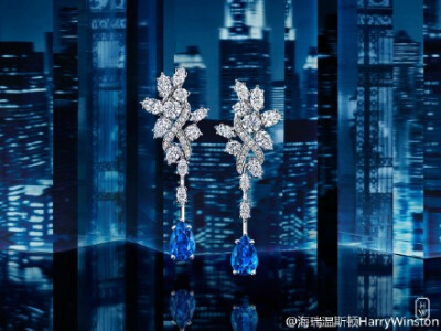 海瑞温斯顿（Harry Winston）54顆璀璨钻石锦簇设计的Secret Cluster耳环