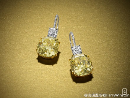 海瑞温斯顿（Harry Winston）黄钻耳环