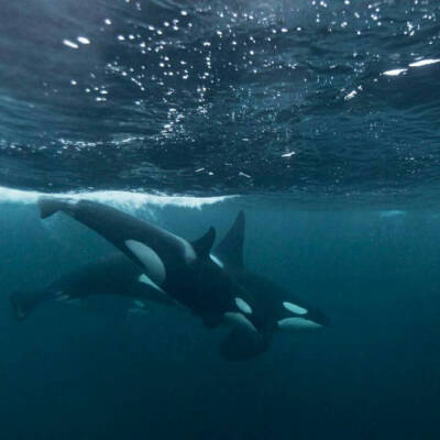 【头像】☞你的笑不美 可我希望它常在