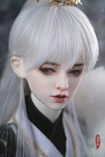 《尾火虎》古风美男 银发 SD娃娃 BJD 玩具 人偶 壁纸 萌物 