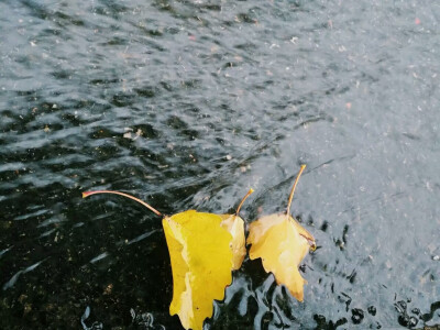 秋·雨天