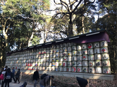 东京 神社酒桶