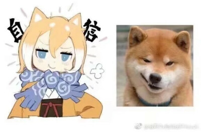 柴犬拟人