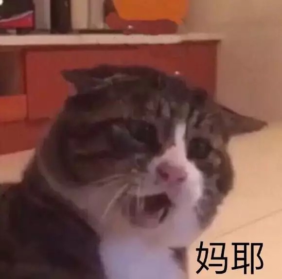 表情包 金馆长 可爱 仙女 熊猫头