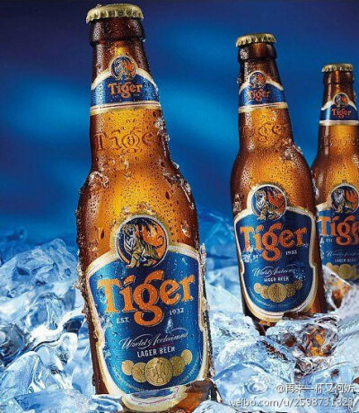【蓝虎牌啤酒】新加坡最受欢迎的啤酒~