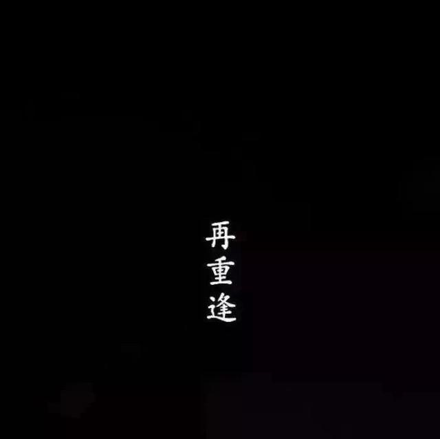 码字