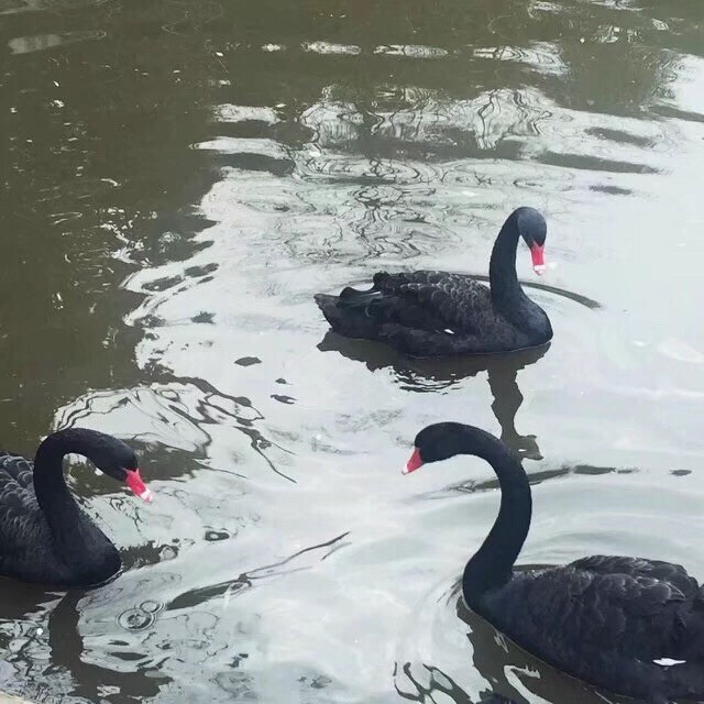 原宿风配图背景干净