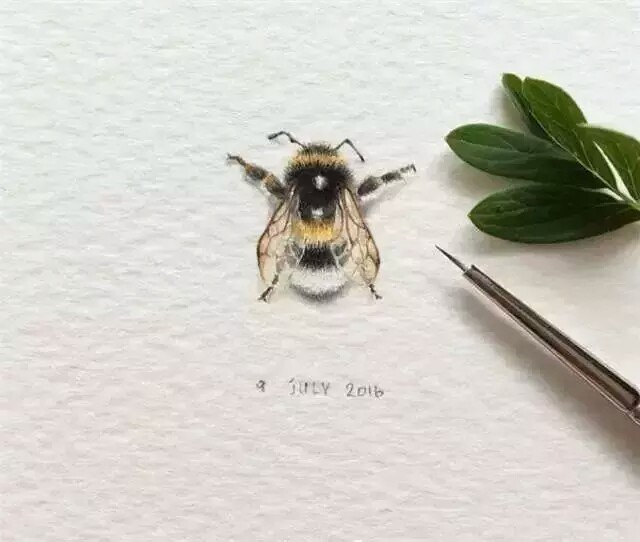 水彩 袖珍画俄罗斯插画师irene malakhov… - 堆糖,美图壁纸兴趣社区