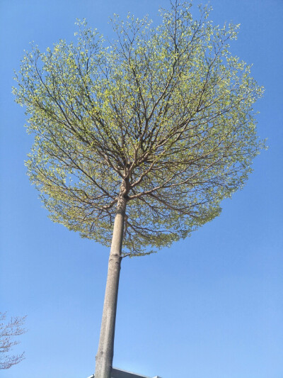 我愿意和你耗个三五年 可是你根本就不在意 到最后你也只是跟别人说 那女孩很喜欢我 仅此而已。 ​