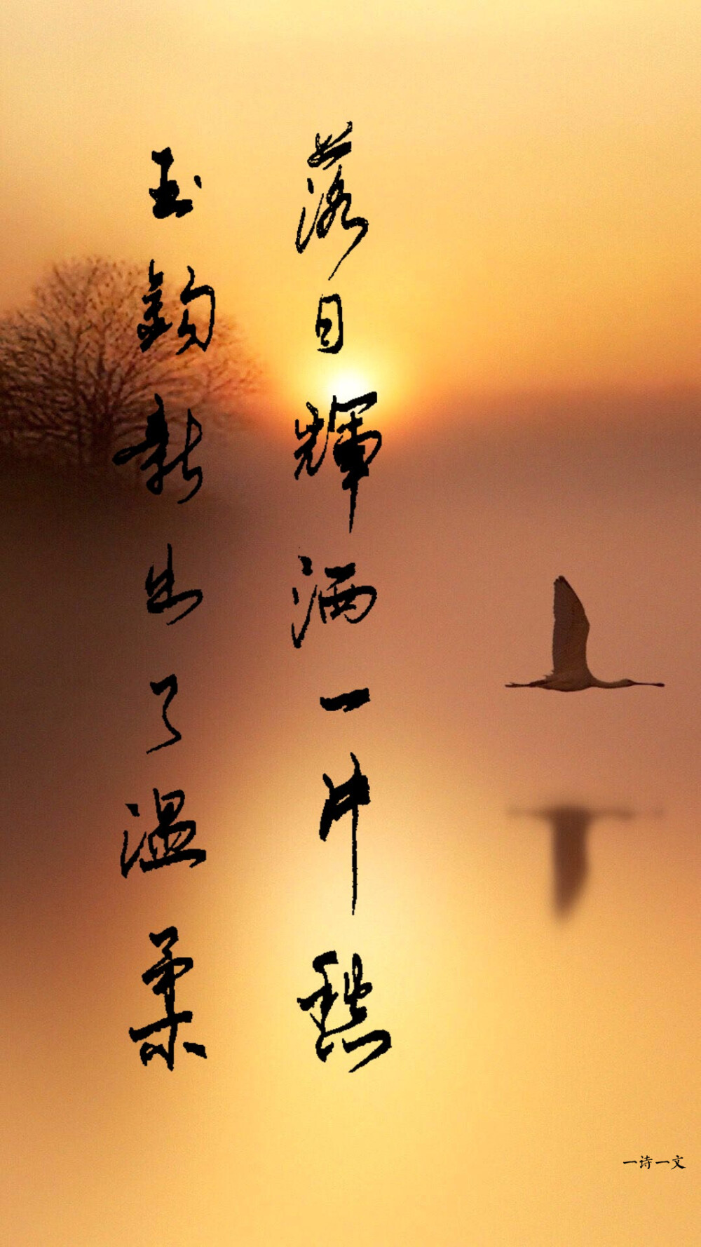 一诗一文稻草人手写