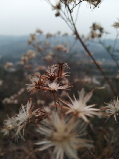 人这种生物，或许总是在应该有所行动的时候就会懒得动。——伊坂幸太郎