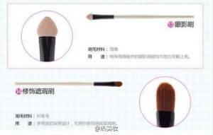 化妆刷科普