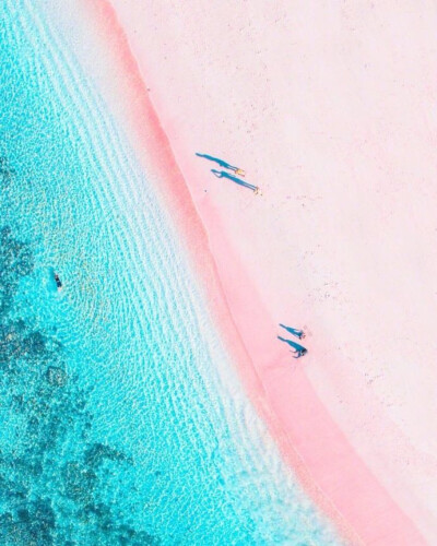 印尼科莫多岛的粉红沙滩 ~