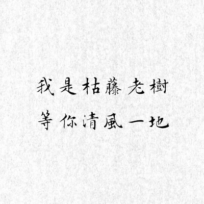 我是枯藤老树
等你一地清风