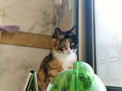 你陪我慢慢长大
我陪你慢慢变老
我们都在时间里成长;