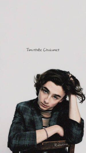 蒂莫西·柴勒梅德Timothée Chalamet，甜茶，头像，壁纸cr @Rainstorm-暴雨