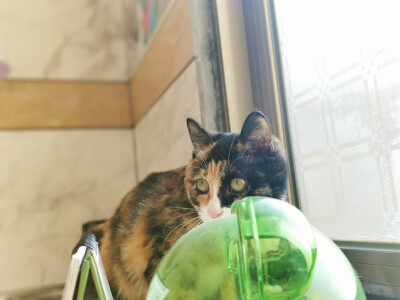 你陪我慢慢长大
我陪你慢慢变老
我们都在时间里成长;