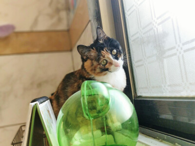 你陪我慢慢长大
我陪你慢慢变老
我们都在时间里成长;