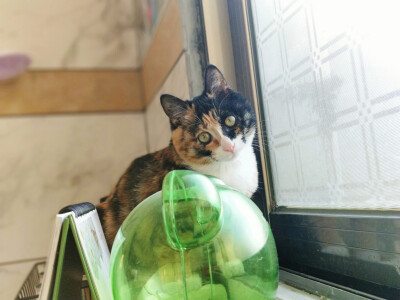 你陪我慢慢长大
我陪你慢慢变老
我们都在时间里成长;