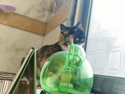 你陪我慢慢长大
我陪你慢慢变老
我们都在时间里成长;