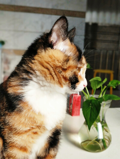 你陪我慢慢长大
我陪你慢慢变老
我们都在时间里成长;