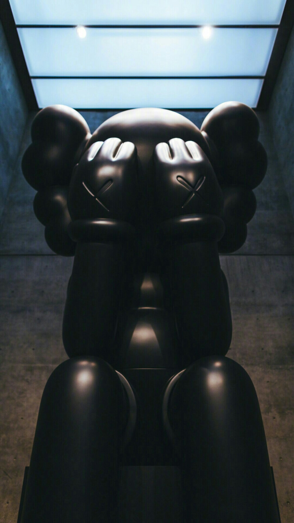 Pidan｜KAWS