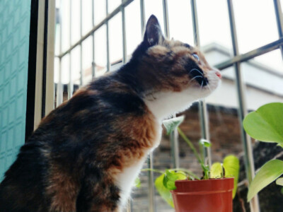 你陪我慢慢长大
我陪你慢慢变老
我们都在时间里成长;