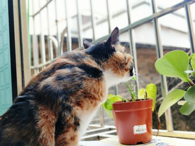 你陪我慢慢长大
我陪你慢慢变老
我们都在时间里成长;