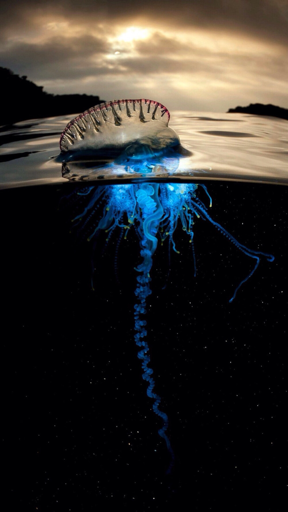 BBC蓝色星球2剧照