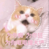 【杦桎】#萌物#可爱猫咪表情包♡