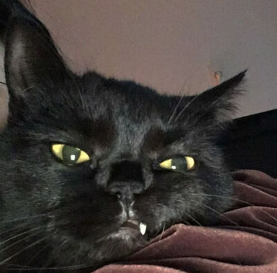 莓里の『壁纸 键盘图』