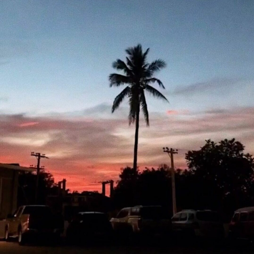 莓里の『壁纸 键盘图』