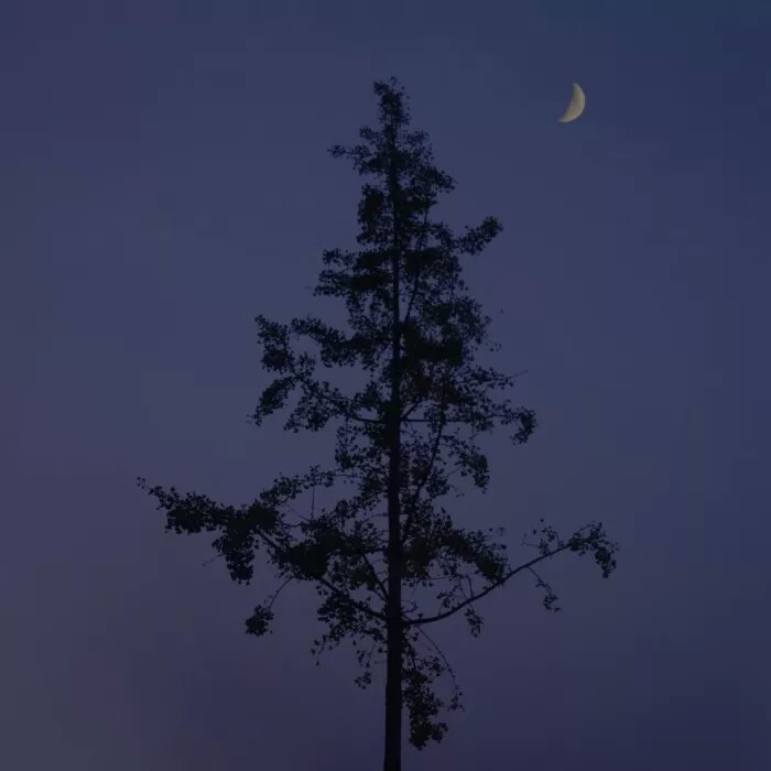 不敢凝视你的眼睛，因为我怕每个眼神，都像在表白♡
明日份背景图，还有壁纸，愿喜じ
by:渔落笙葵岛