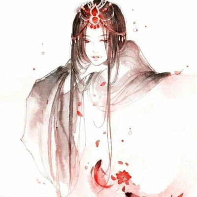 宓籹不知从哪里弄来的图