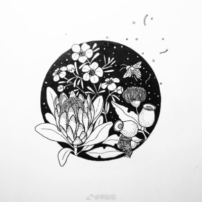 一组黑白插画 