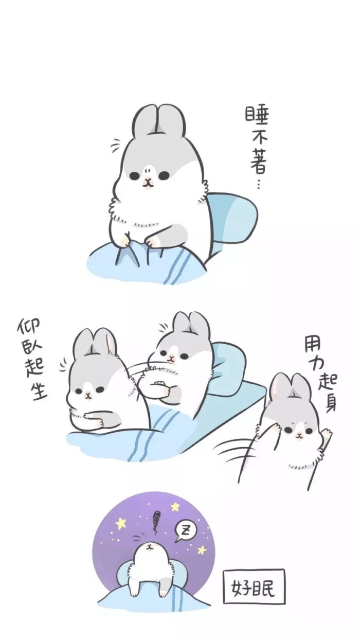 白色和動物為主