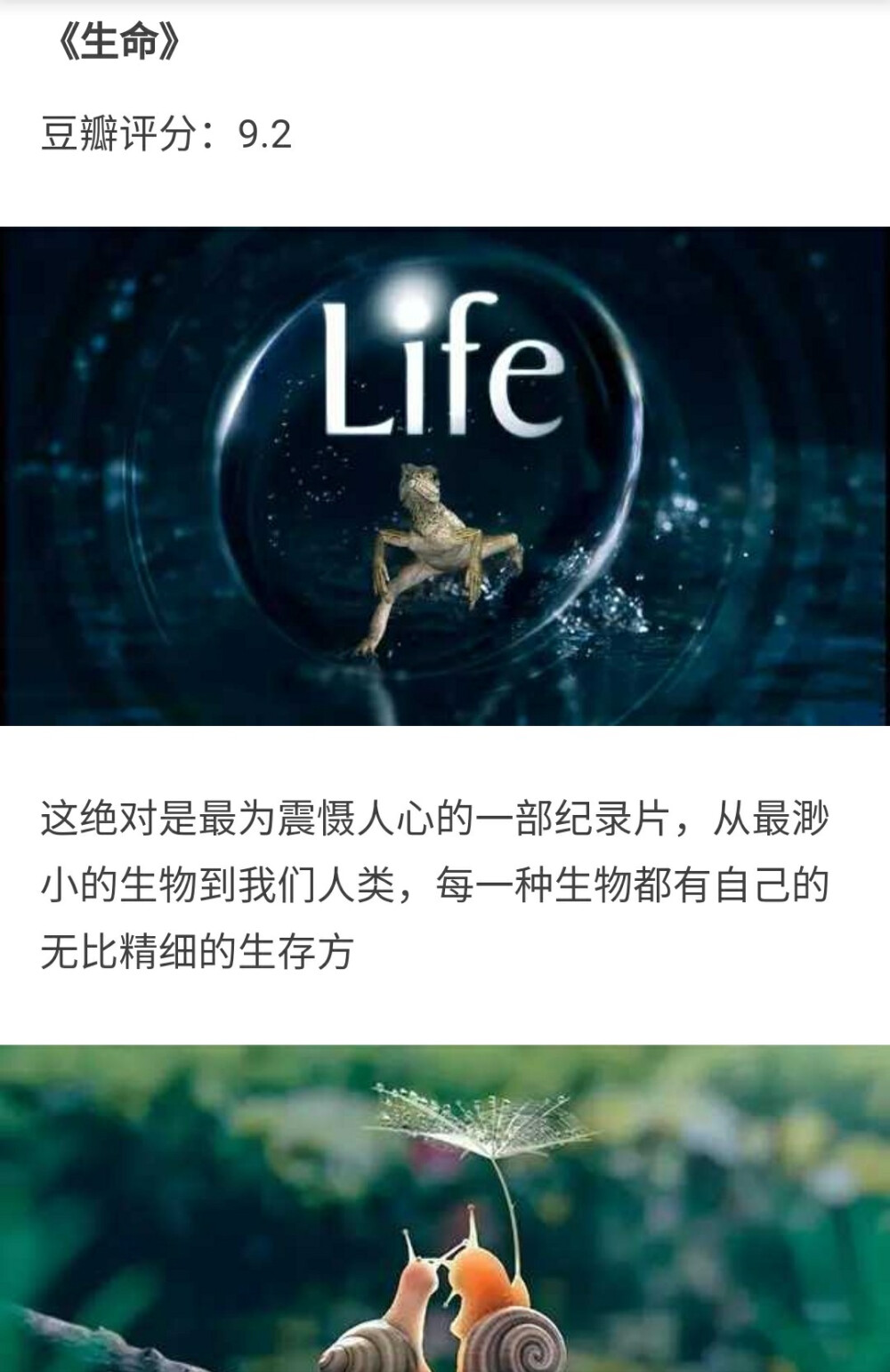 纪录 生物 动物 人类 星球