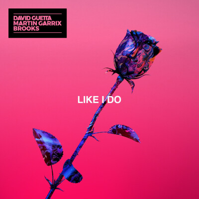 《Like I Do》David Guetta/Martin Garrix/Brooks