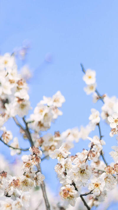 高清壁纸来源微博@小众壁纸，侵删