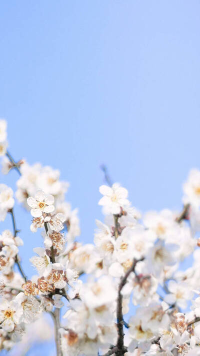 高清壁纸来源微博@小众壁纸，侵删