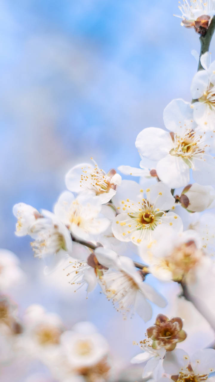 高清壁纸来源微博@小众壁纸，侵删