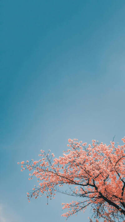 高清壁纸来源微博@小众壁纸，侵删