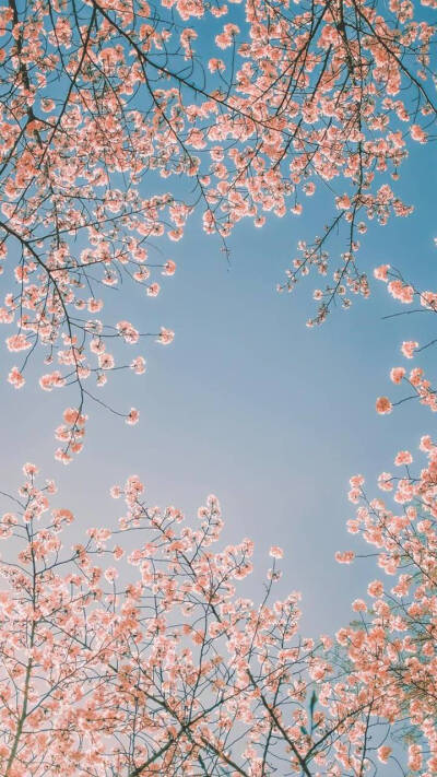 高清壁纸来源微博@小众壁纸，侵删