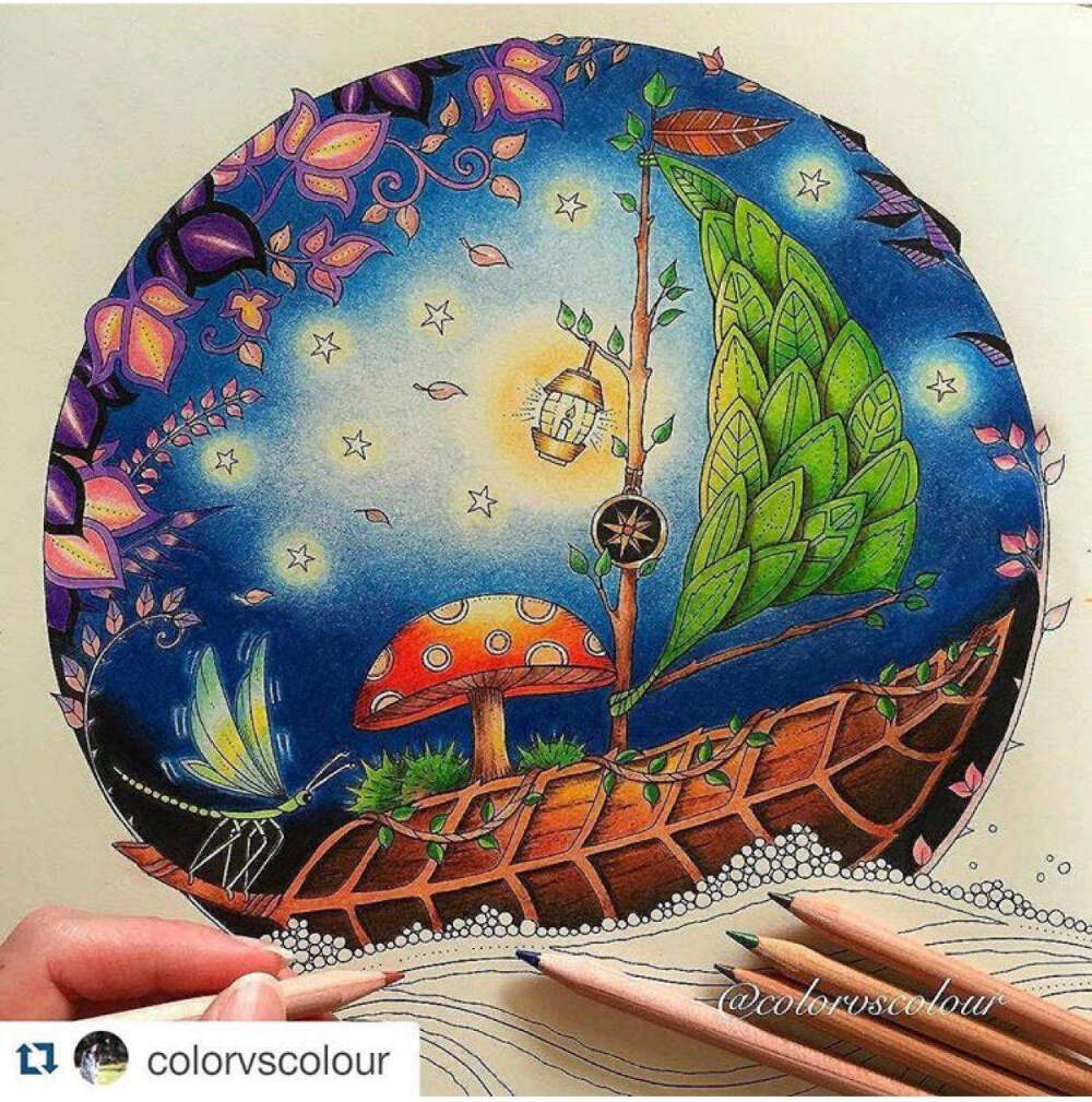 秘密花园 魔法森林 填图