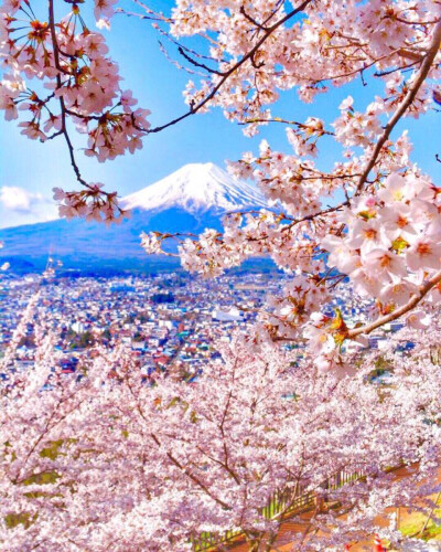 富士山下