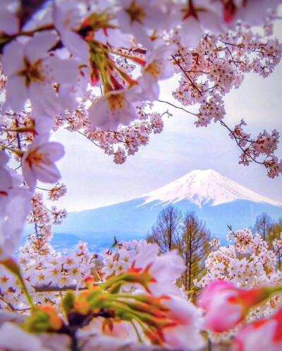 富士山下壁纸油画图片