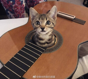 想要的都要据为己有