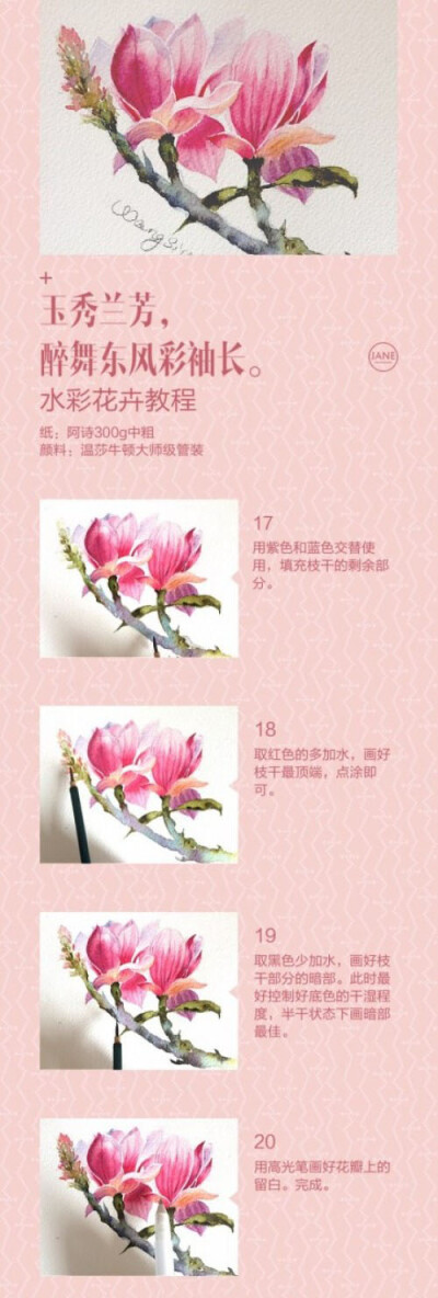 水彩画教程：玉兰花图解步骤www.caibihui.com