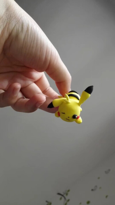 咦，捉到一只野生皮卡丘